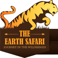 The Earth Safari