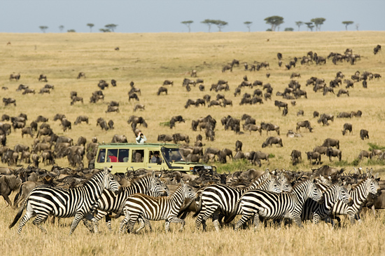 Tanzania Safari Tours With Serengeti Safari