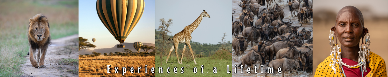 Tanzania Safari - The Earth Safari