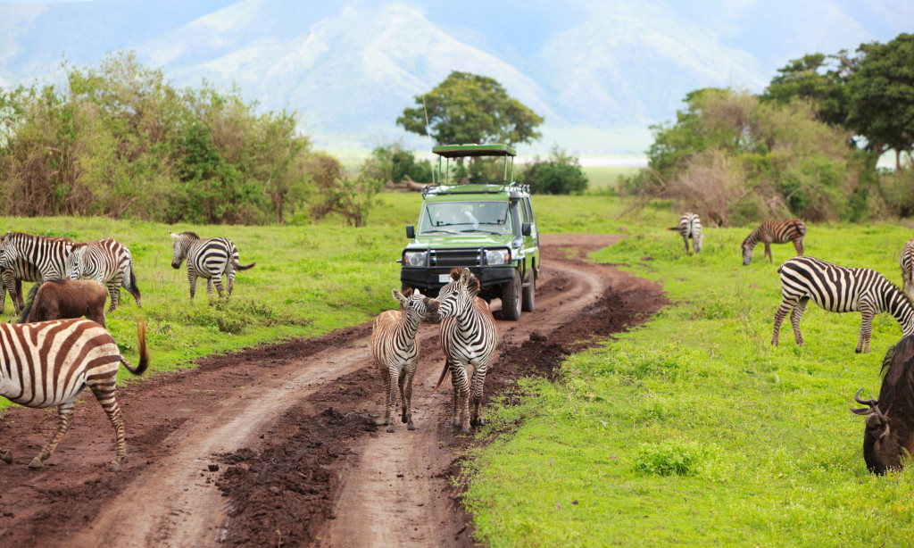 tanzania adventure tours