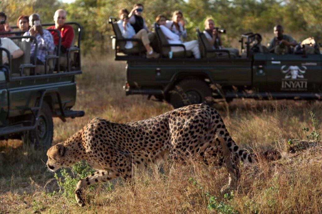 Kruger National Park - Package Tour to South Africa by The Earth Safari