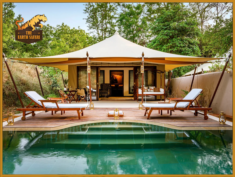 Luxury Tiger Safari in India, Sujan Sherbagh Ranthambore - The Earth Safari