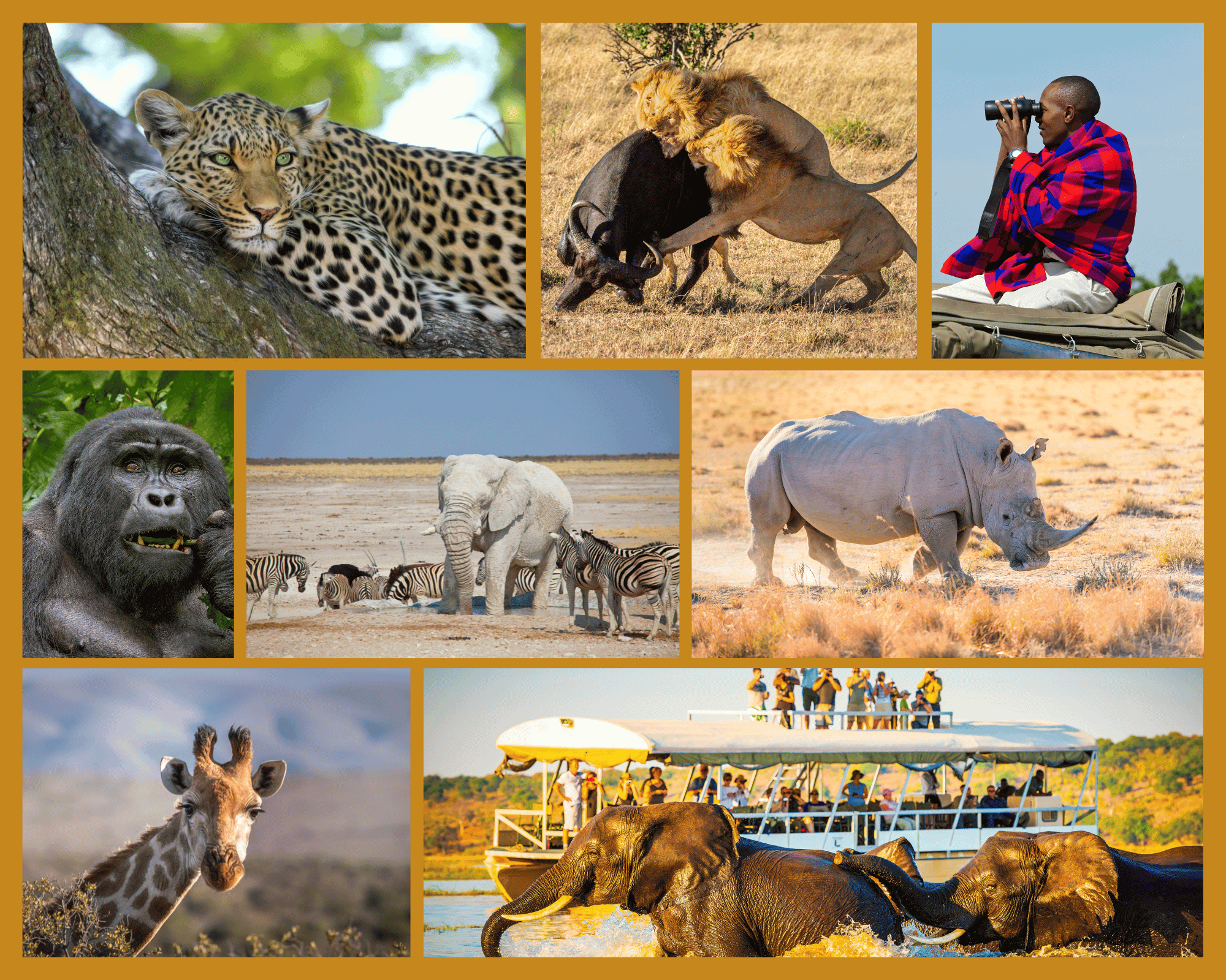 Africa Safari from India with The Earth Safari