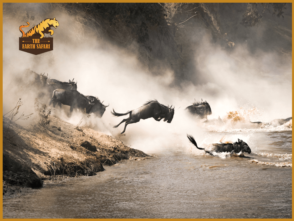 Great Wildebeest Migration in Masai Mara & Serengeti - The Earth Safari