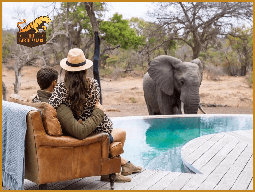 Africa Tour Packages, Africa Safari Trip - The Earth Safari