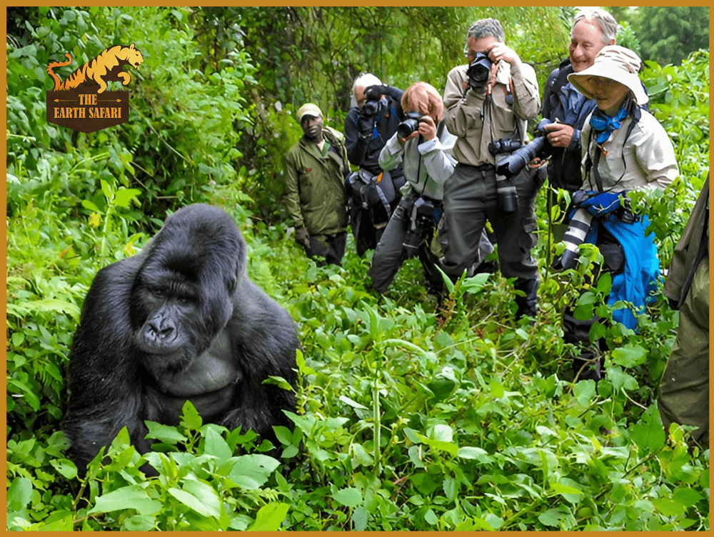 Gorilla Trekking in Bwindi Impenetrable National Park, Uganda - The Earth Safari
