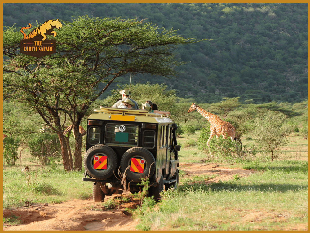 Game Drive in Masai Mara in 4X4 Land Cruiser - The Earth Safari