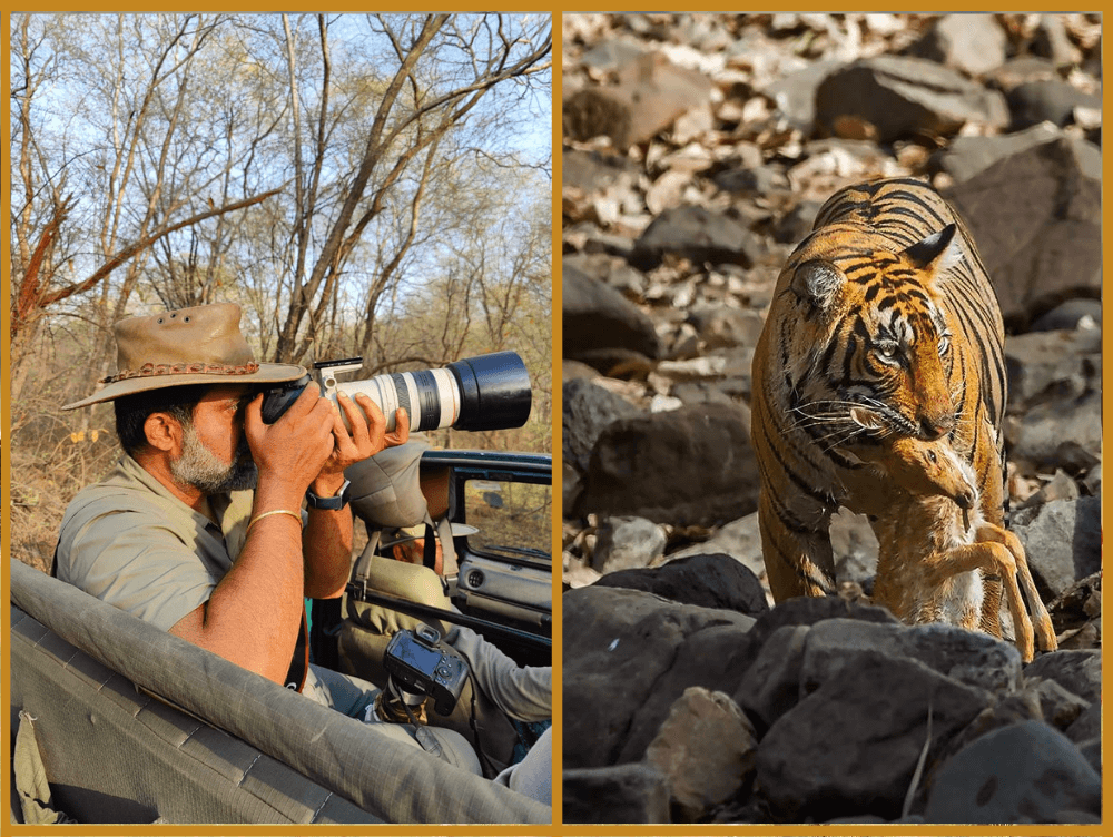 Wildlife Photography Tips from Saran Vaid - The Earth Safari