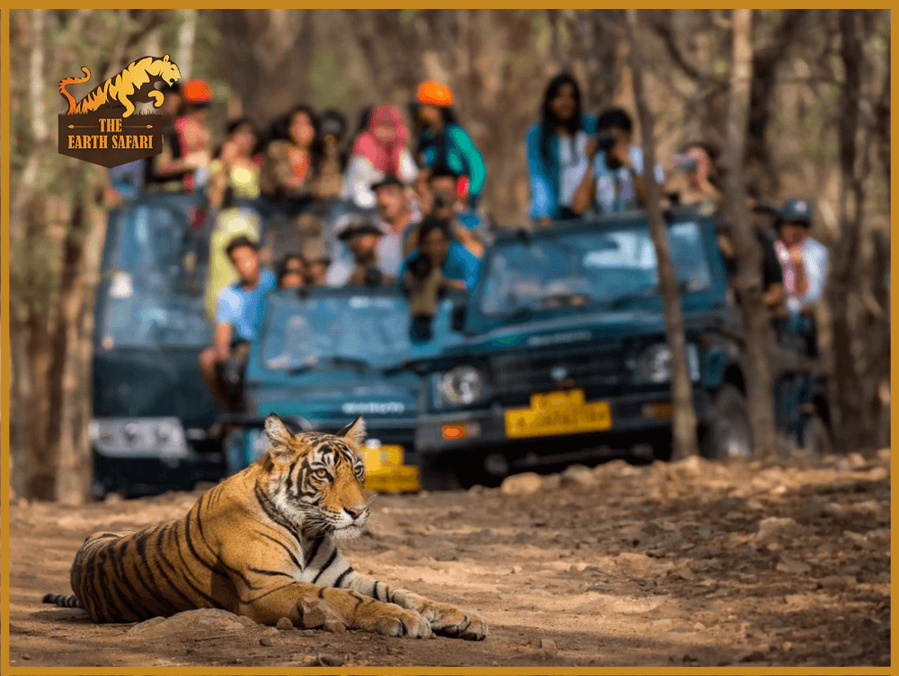 Responsible EcoTourism - The Earth Safari