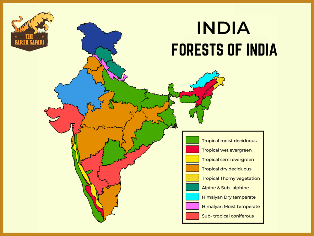 Types of Forests in India - The Earth Safari